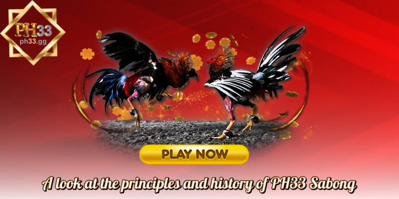PH33 Online Cockfighting History